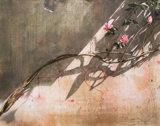 Polvere e rose - tempera, cm 100x80, 2008